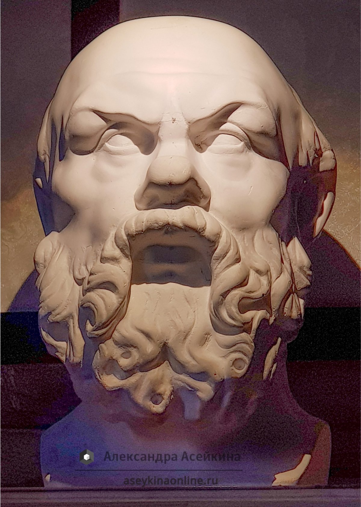 Сократ говорил