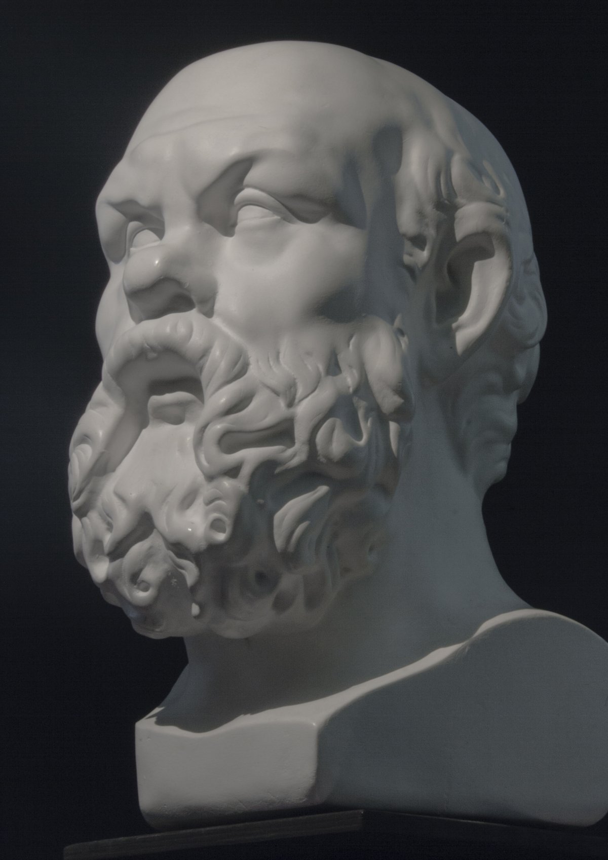 Попадется хорошая жена станешь счастливым плохая станешь философом