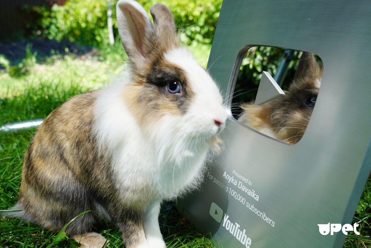 Фото давай ка