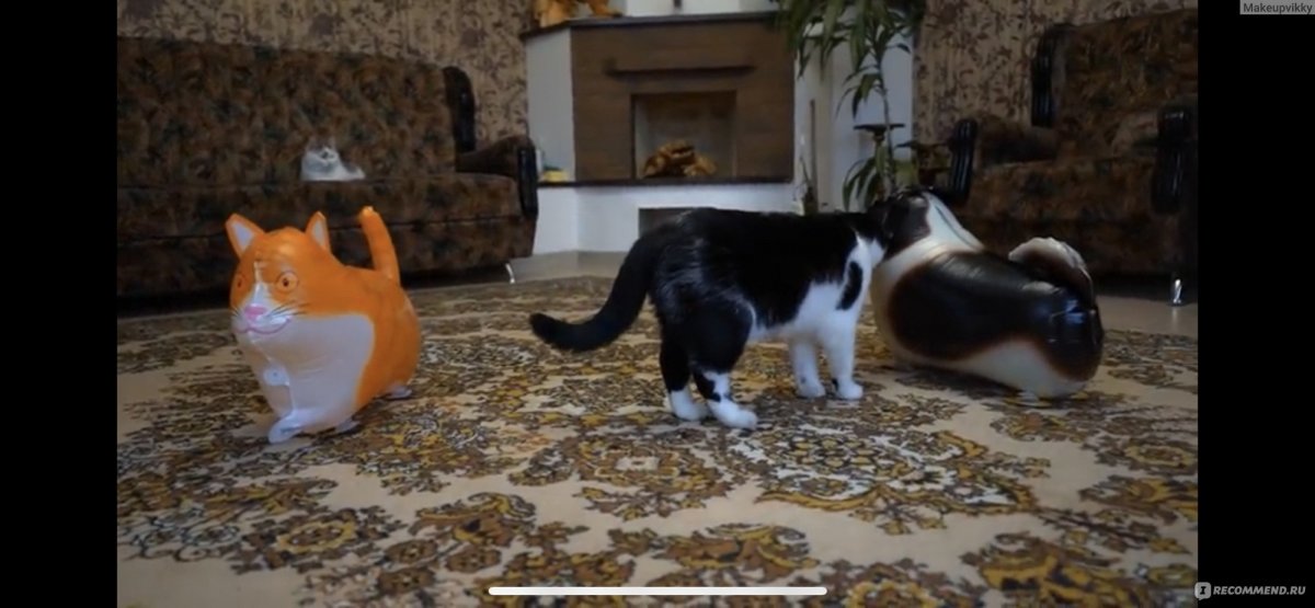 Анука давайка