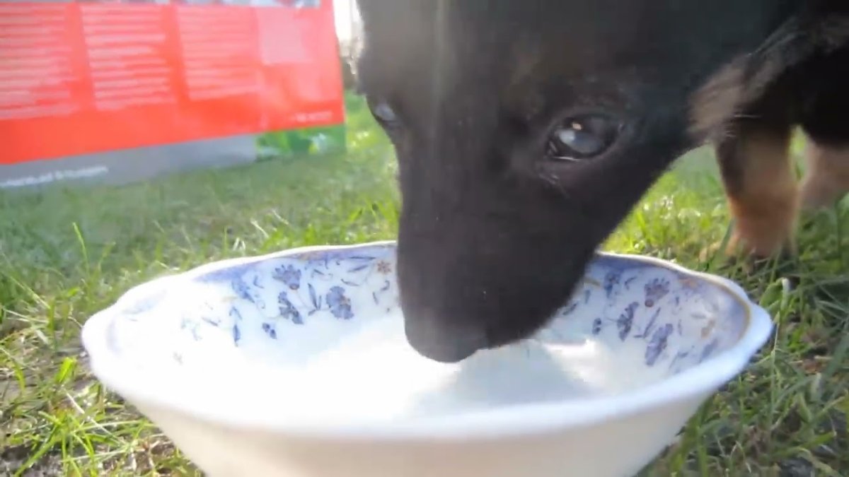 Футболка а ну ка давайка