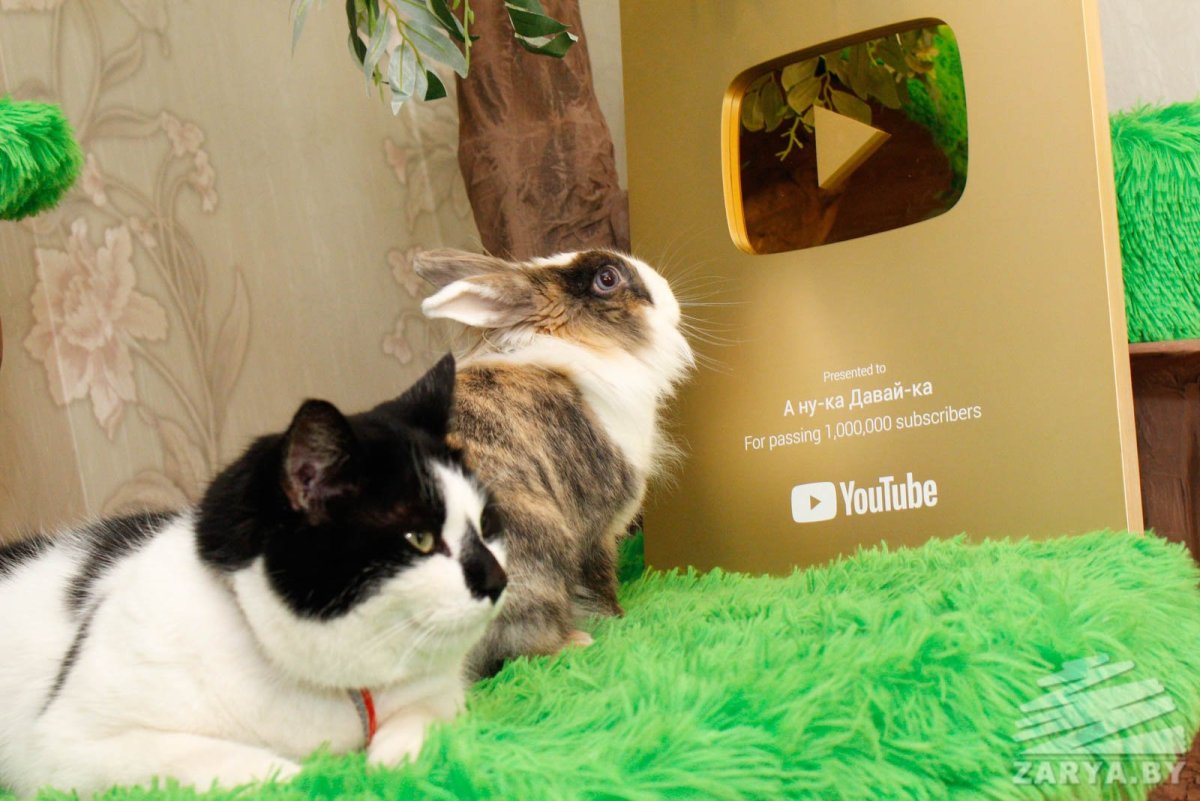 ЛОЛ Баффи и ЛОЛ малыш