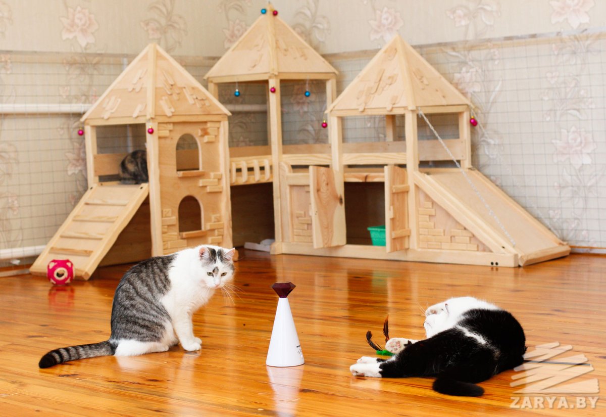 Мультик мультик мультик мультик а ну ка давай ка