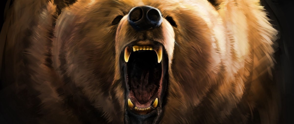 Злой медведь Россия