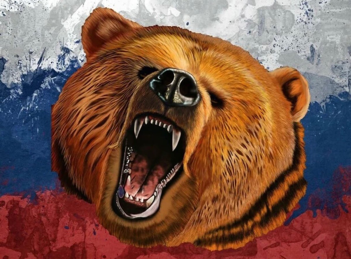 Грозный медведь Гризли