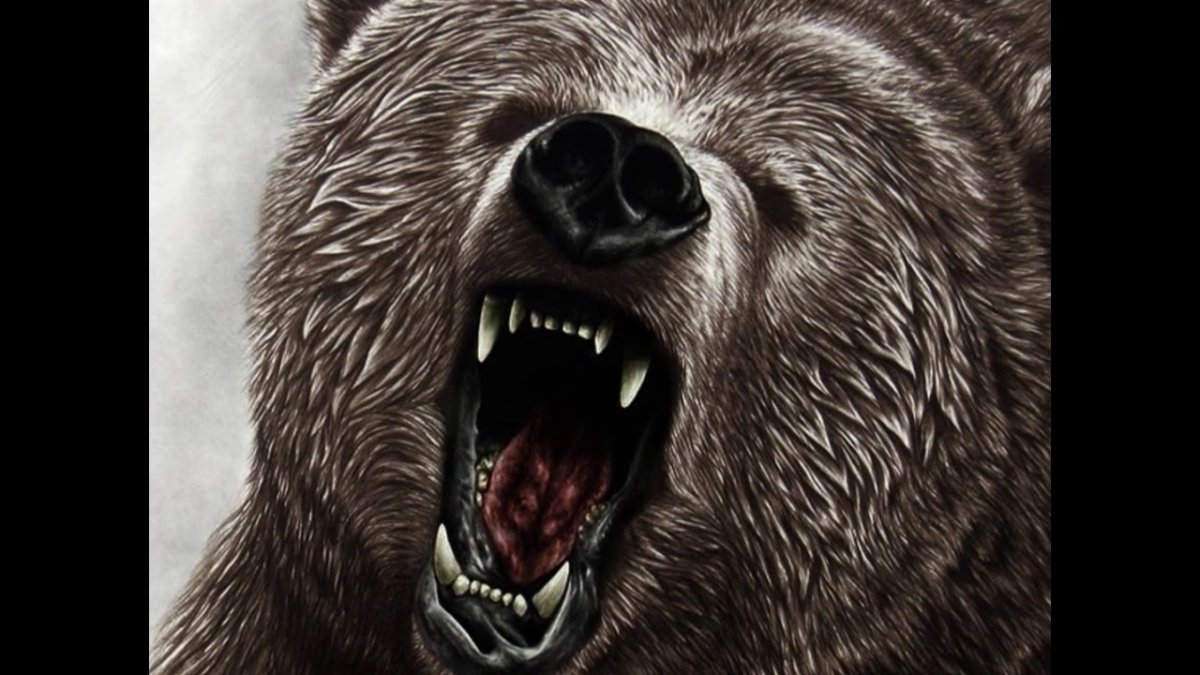 Оскал медведя тату эскиз