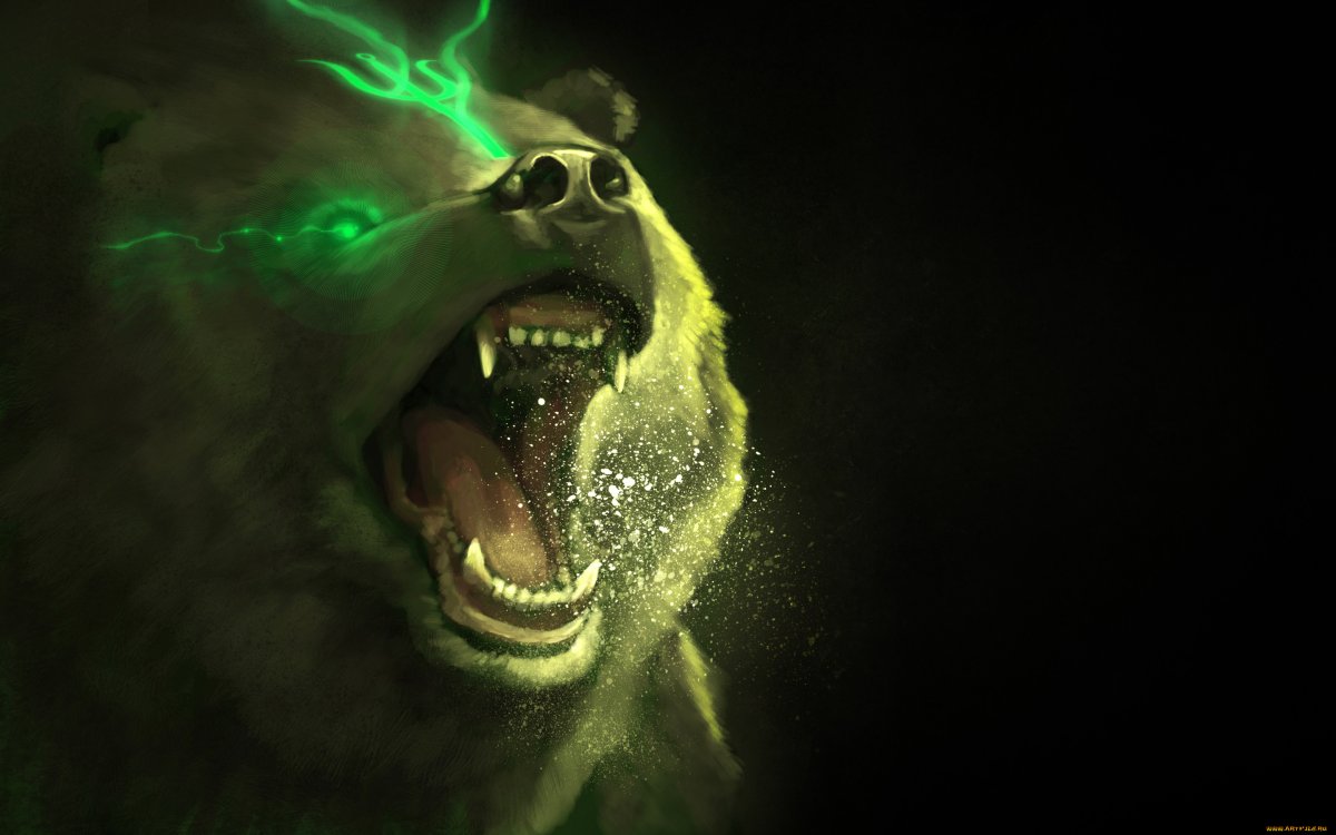 Медведь в ярости