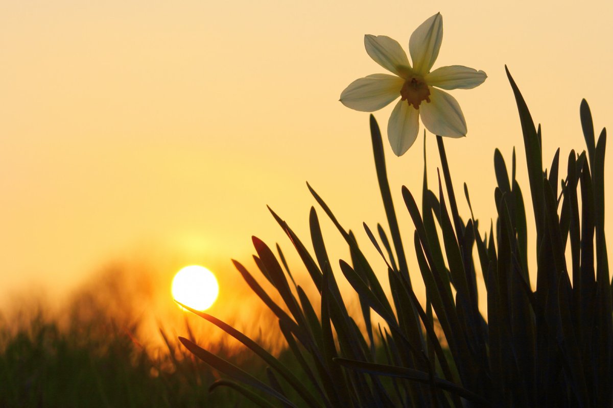 Чудесной весны