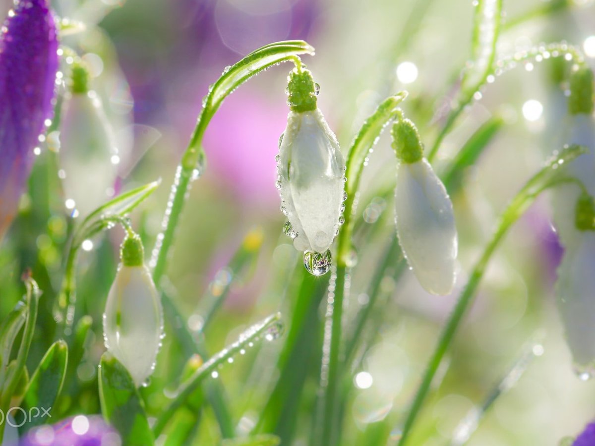 Весеннее солнце