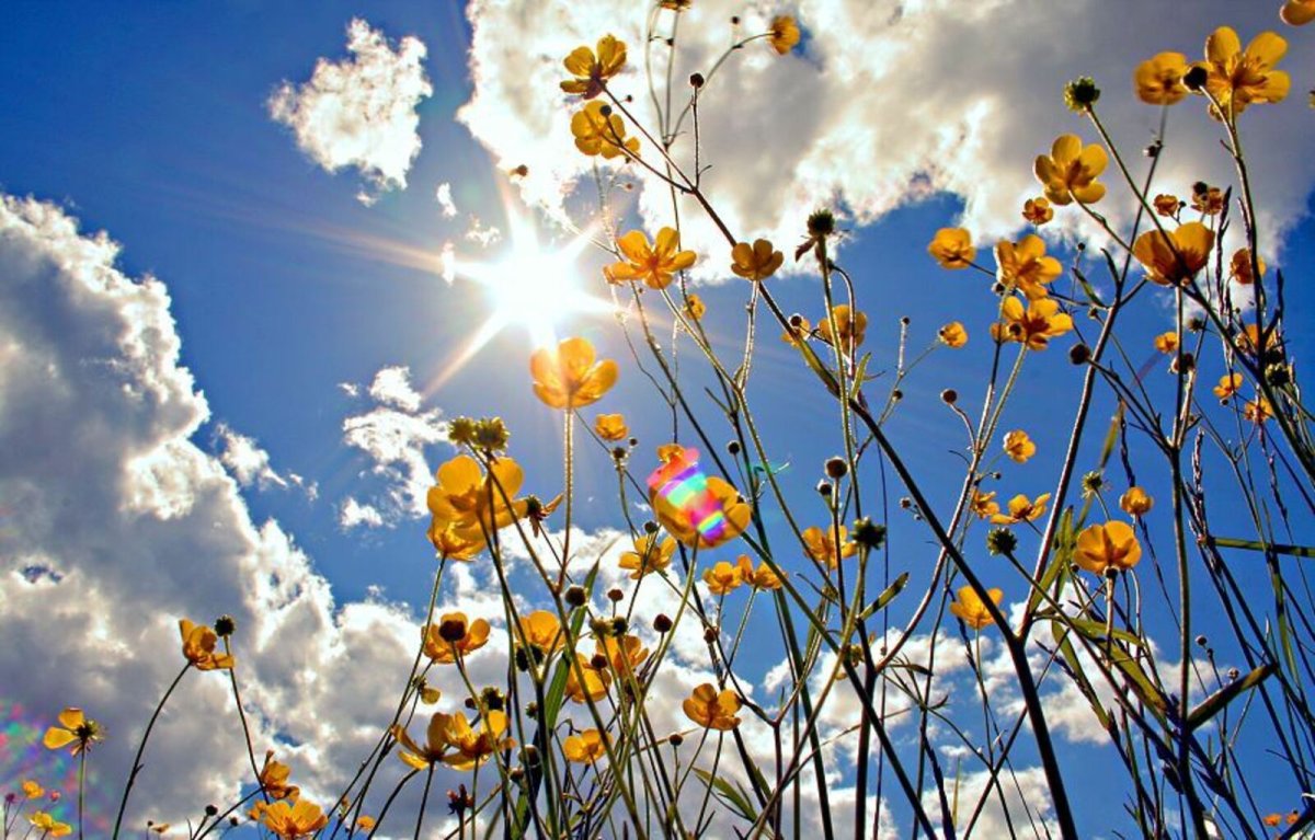 Весна в горах