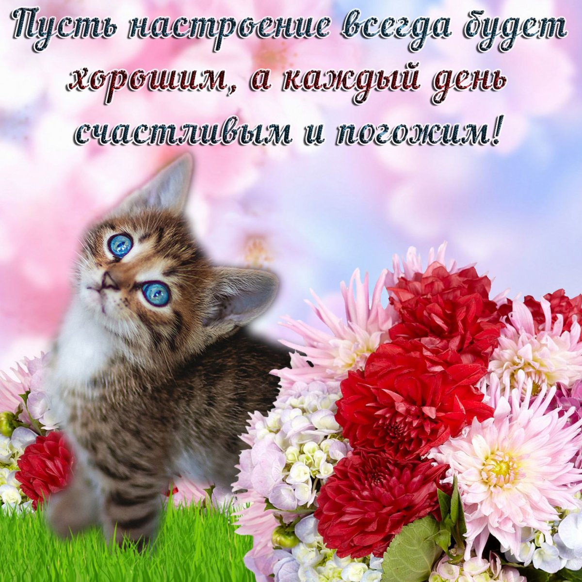 Хорошие пожелания