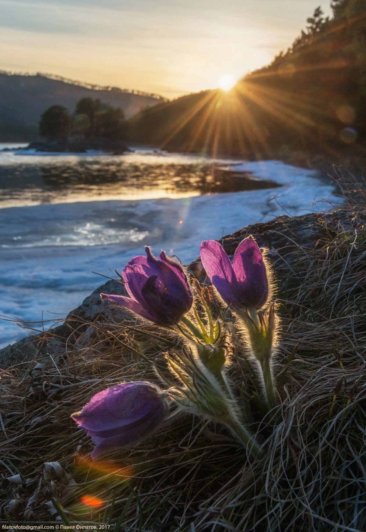 Весенняя природа