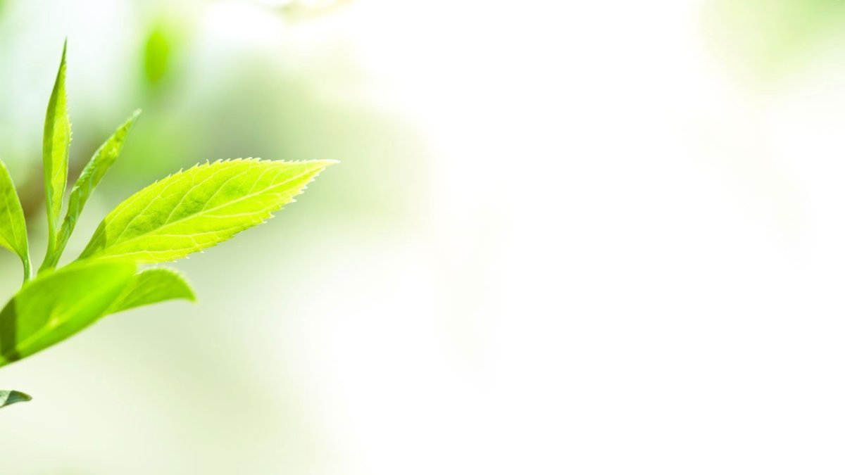 Фон для презентации по биологии