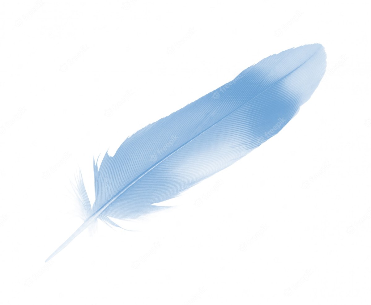 Перо раскраска