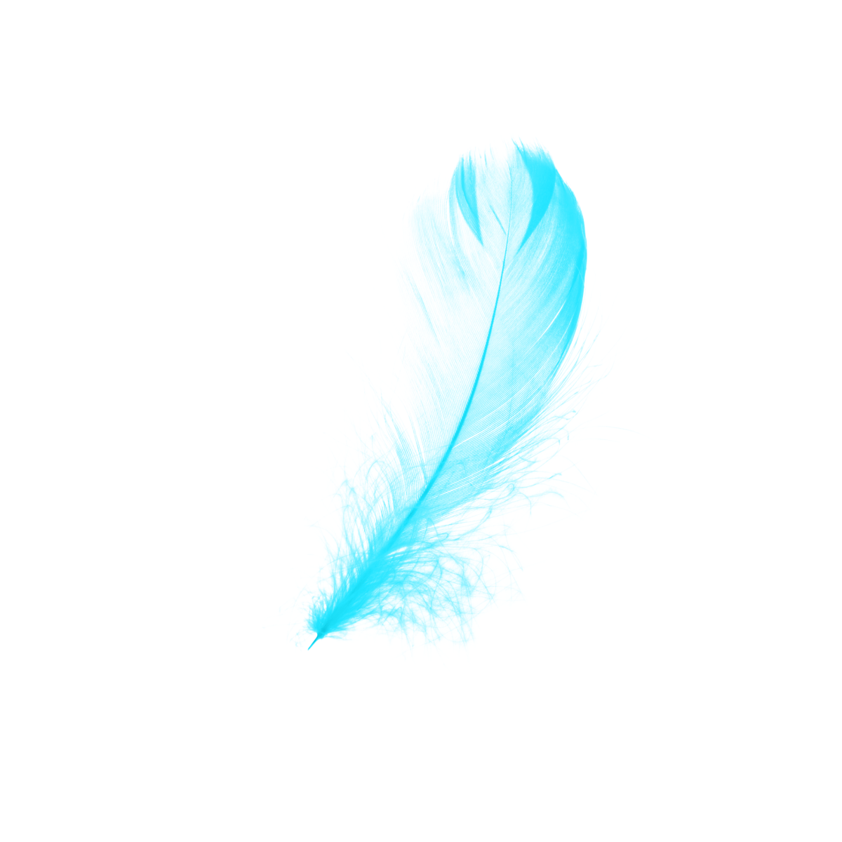 Перо акварель