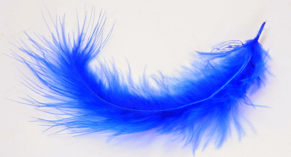 Цветные перья