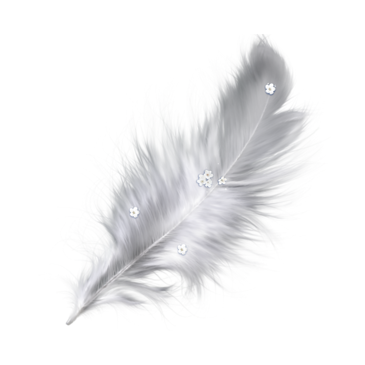 Мультяшные перья