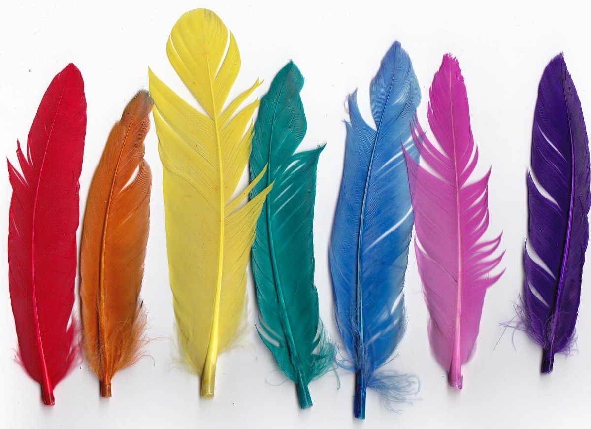 Перья летят