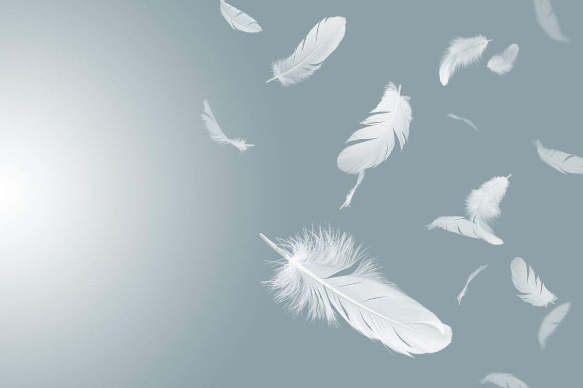 Розовое перышко