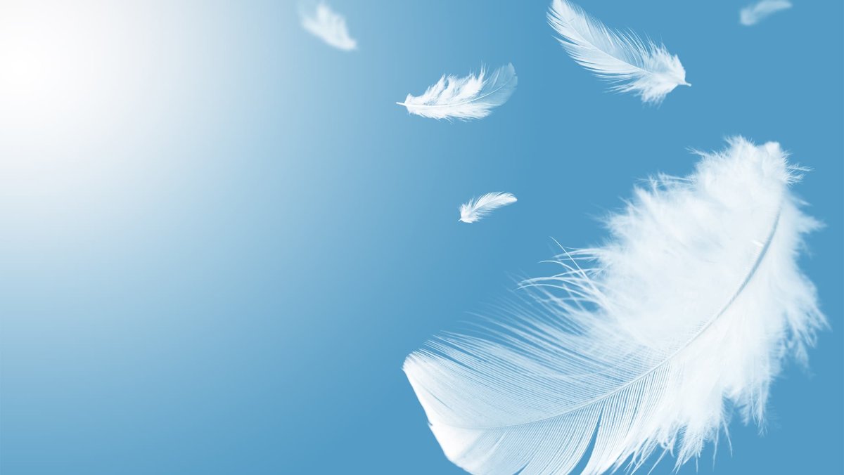 Перья бохо голубые