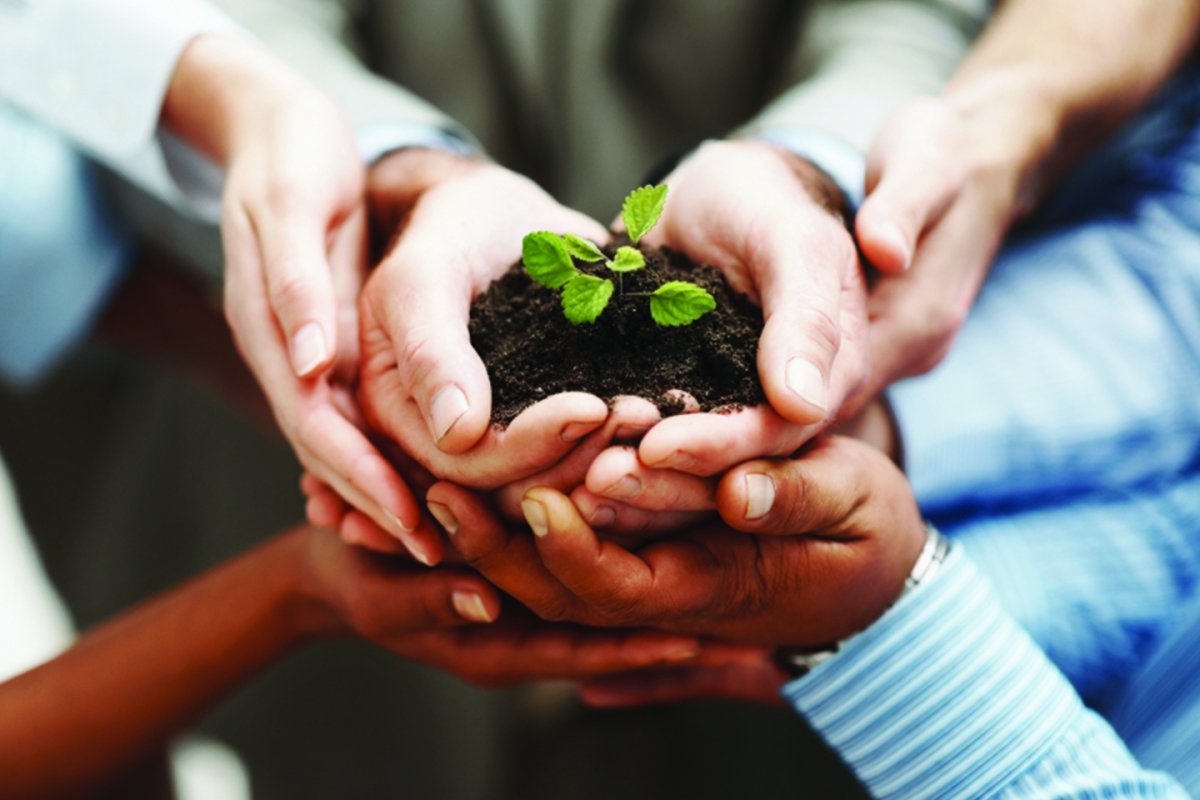 Экология природа и человек