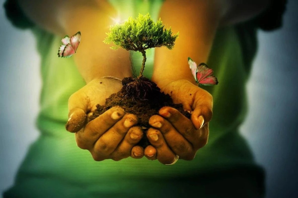 Любовь к природе