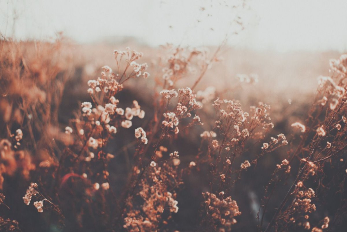 Обложка на экран блокировки