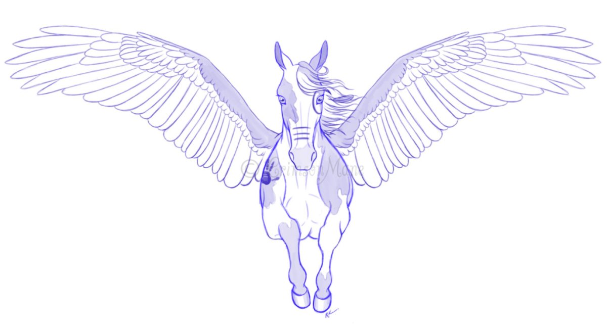 Пегас контурный рисунок