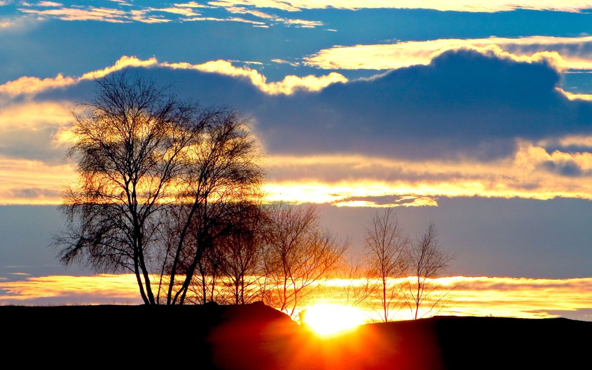 Лето природа