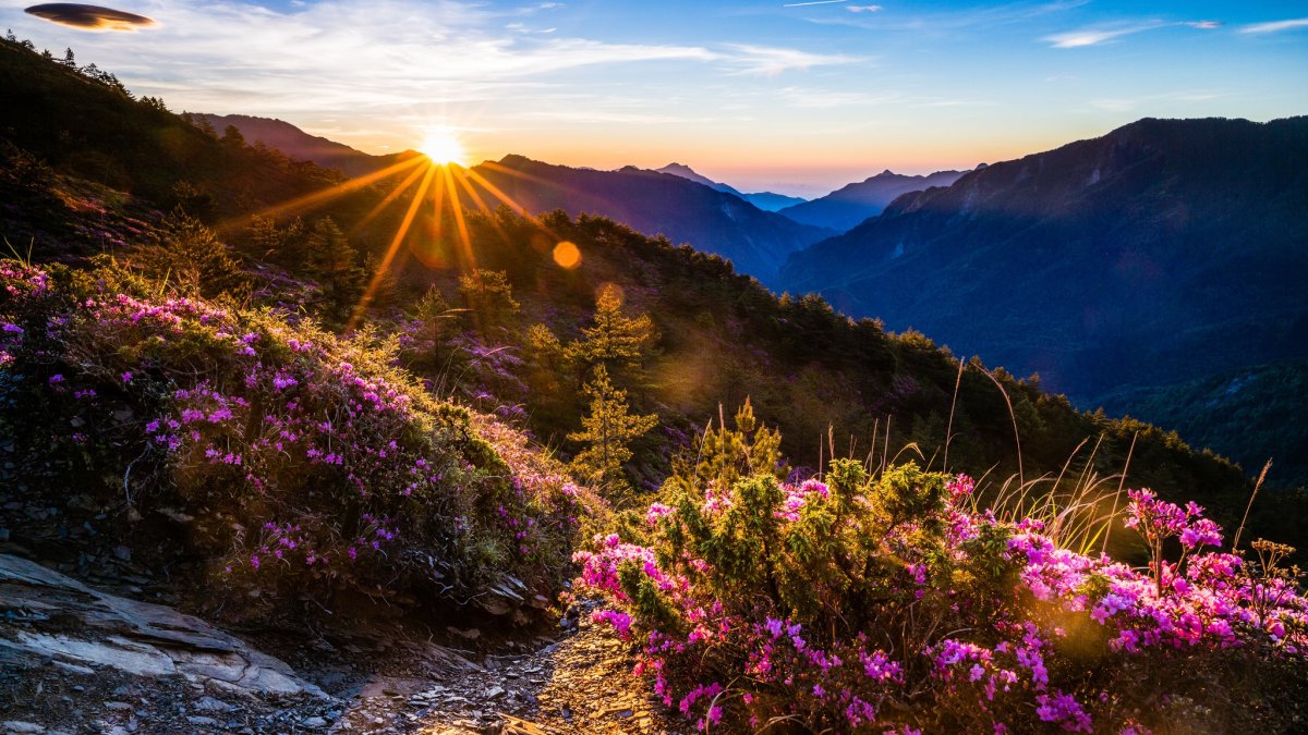 Зимний рассвет