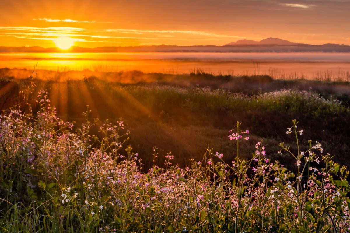 Зимнее солнце