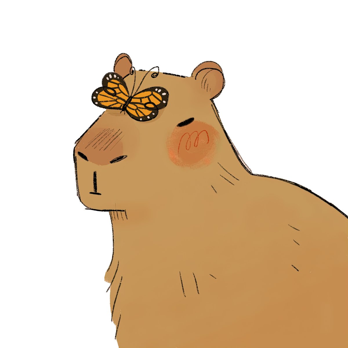 Капибара скетч