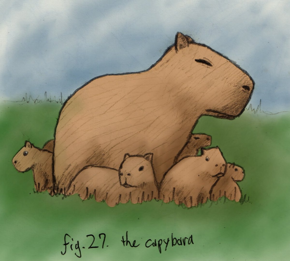 Капибара Чиби