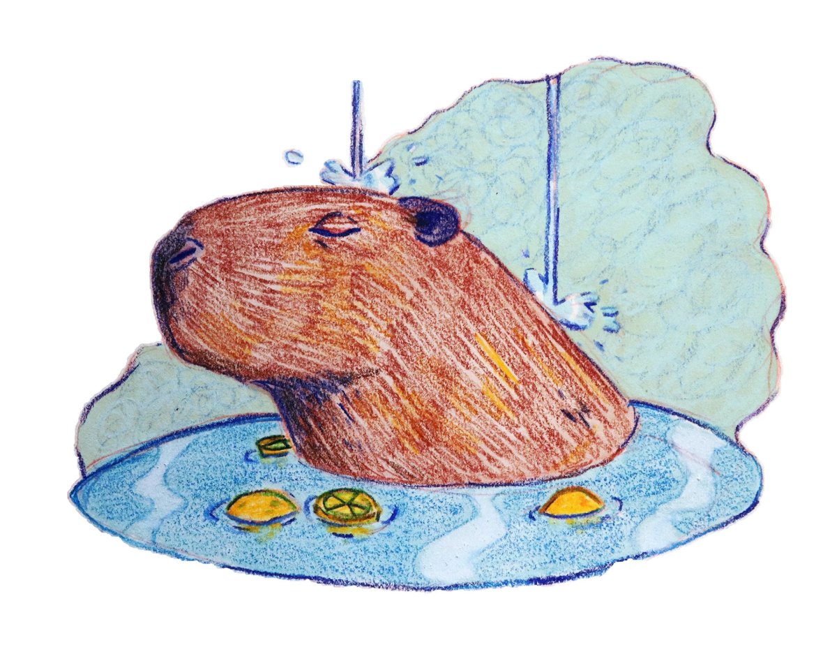 Капибара тату эскиз