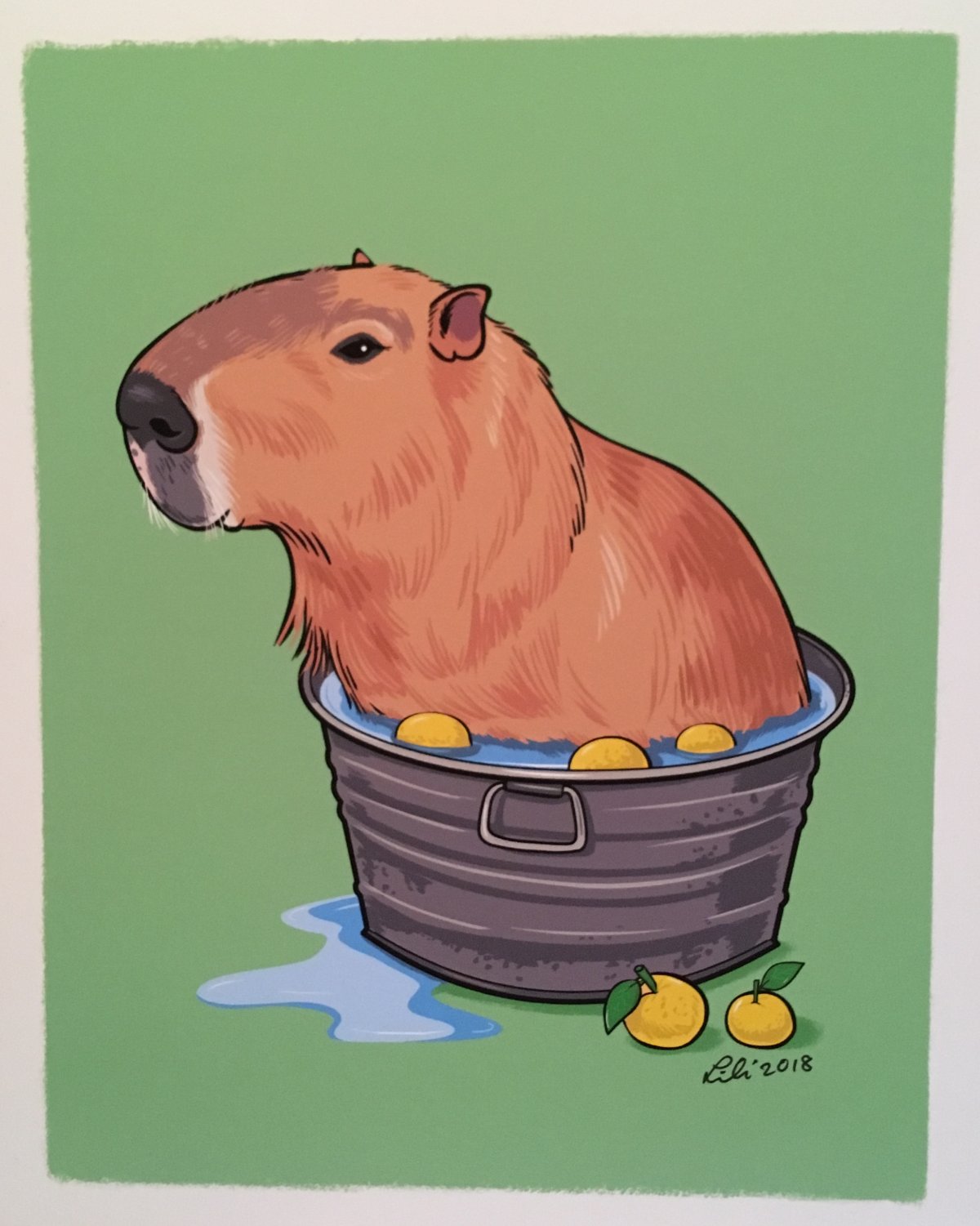 Кружка с капибарой