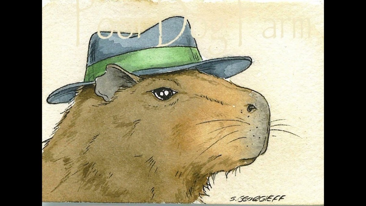 Капибара смешная