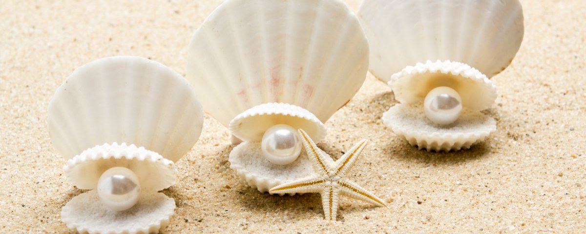 Королевский гребешок