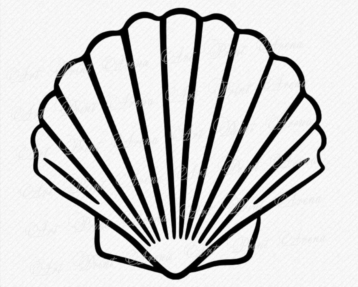 Ракушки для раскрашивания