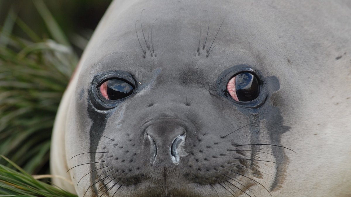 Я тебе какое плохое зло сделал