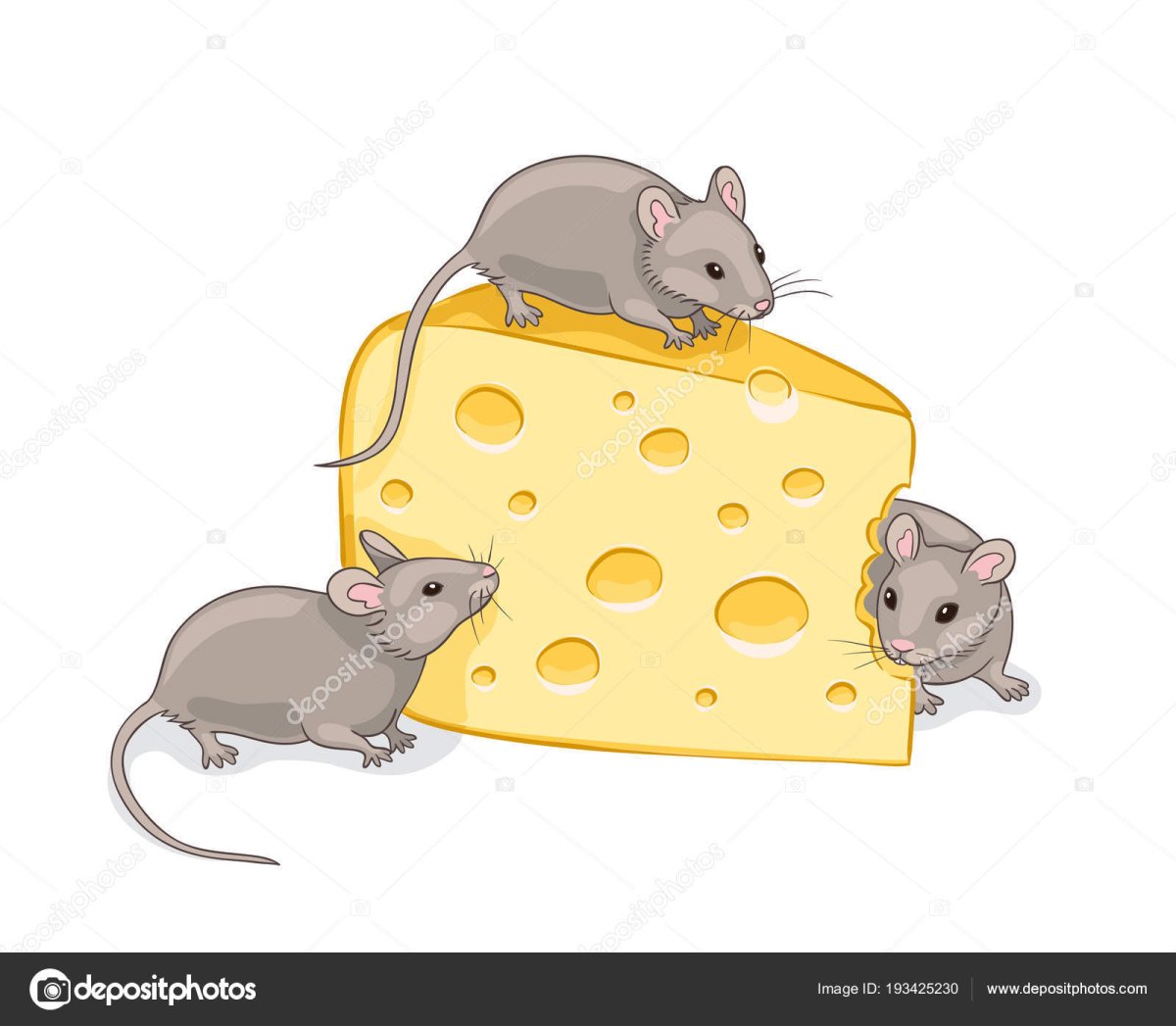 Кусочек сыра для мышки