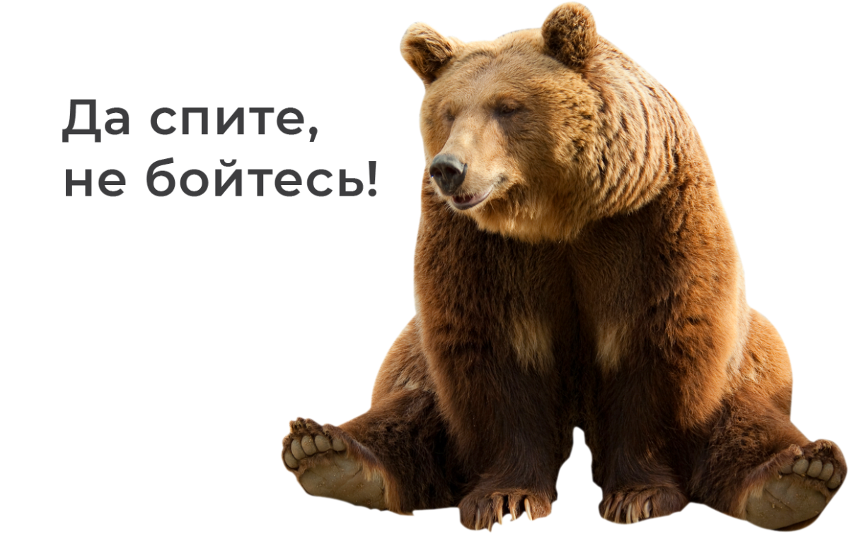 Медведь на прозрачном фоне