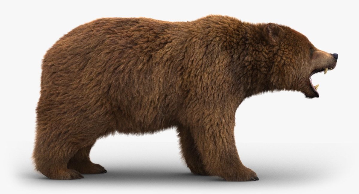 Grizzly 3d model