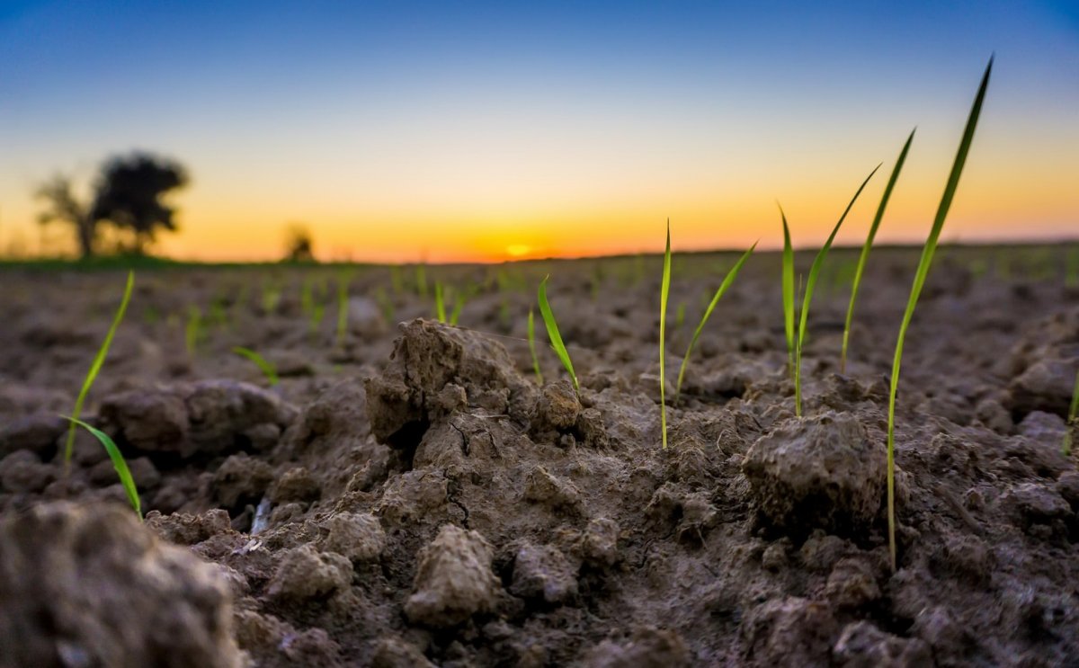 Земля почва