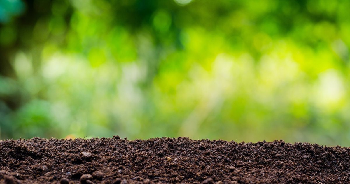 Почва вертикально