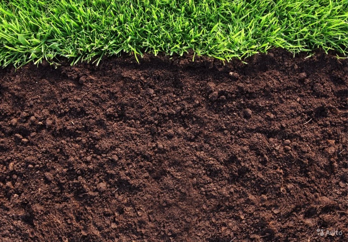 Растительный грунт (торфо-Песчаная смесь)