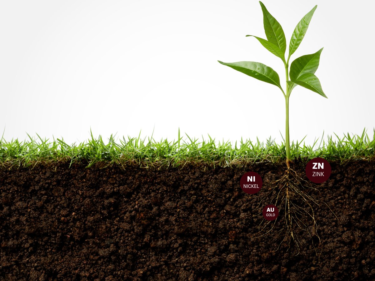 Земля почва