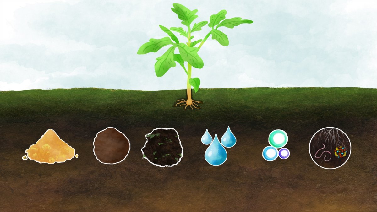 Почва для дошкольников