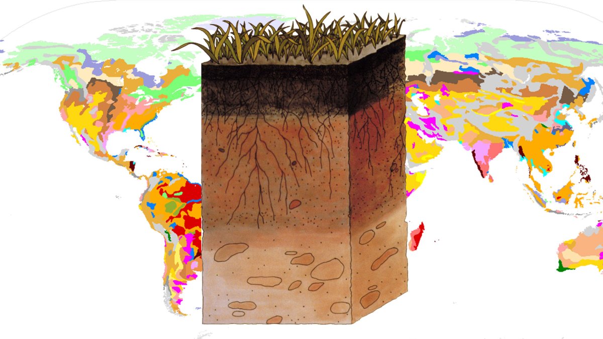 Почвенный Покров земли