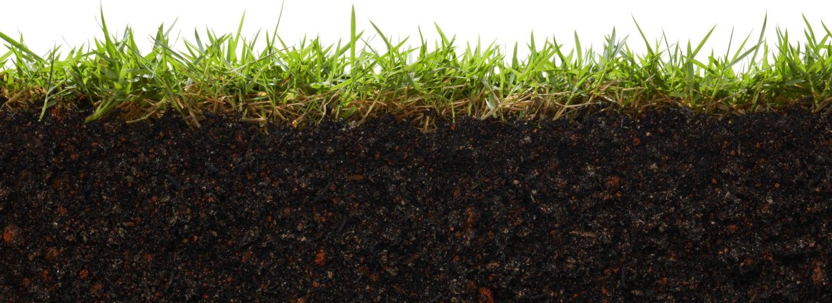 Земля почва