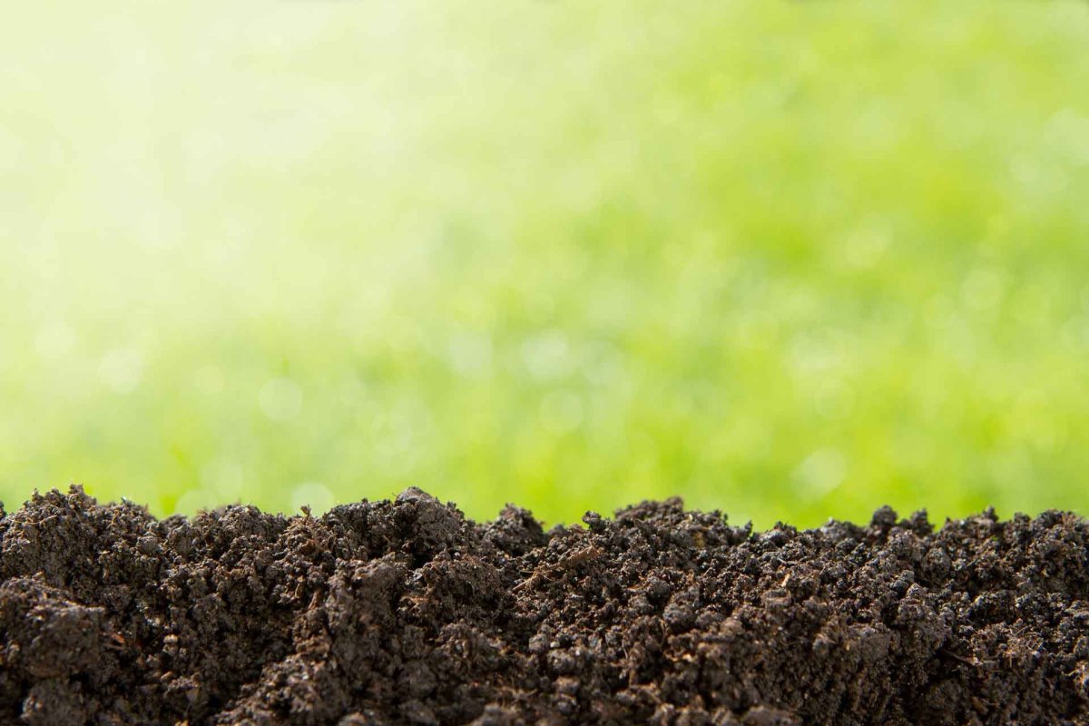 Плодородная земля фон